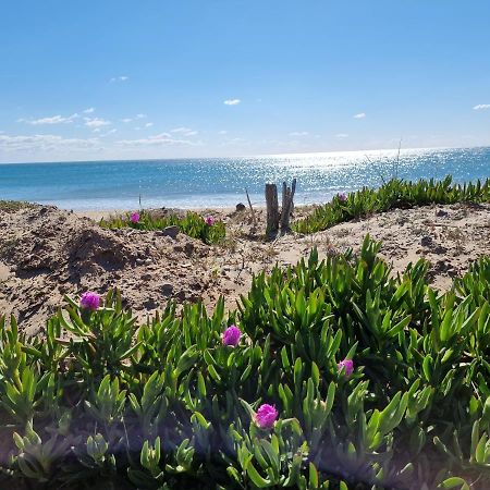 207 Cap D'Agde Naturiste Grand T2 De Standing Avec Garage Eksteriør bilde